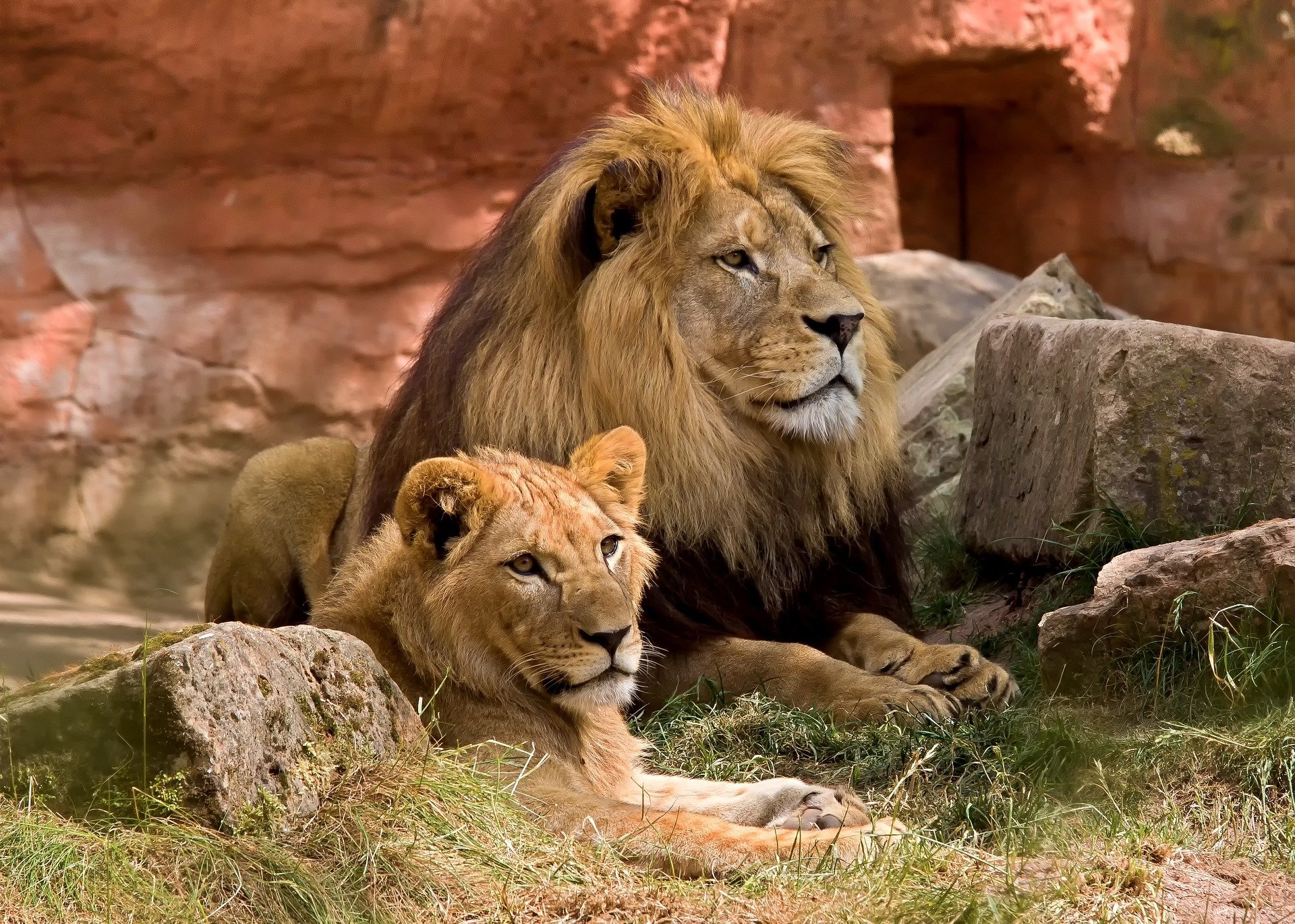 Welcome to Our Blog! | Blog | Wanderlust Nature Expeditions